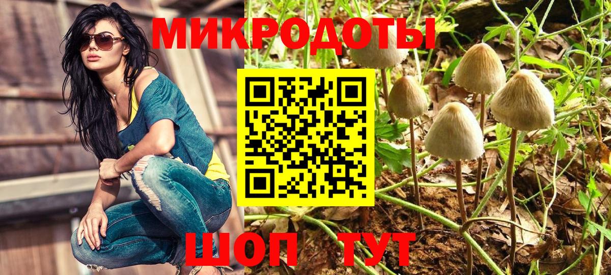 Галлюциногенные грибы прущие грибы  Вход с VPN  Назрань  Галлюциногенные грибы Psilocybine cubensis 